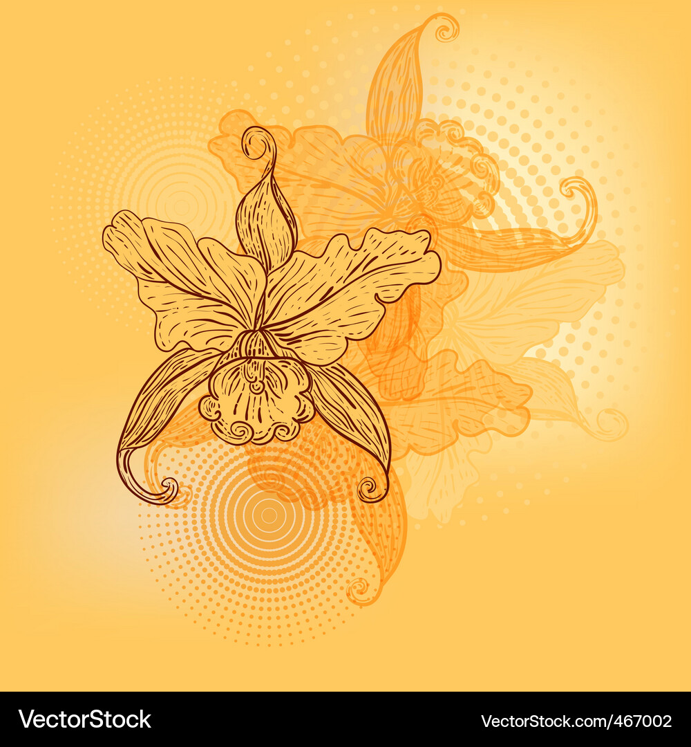 Spring background with lilies Vector Image