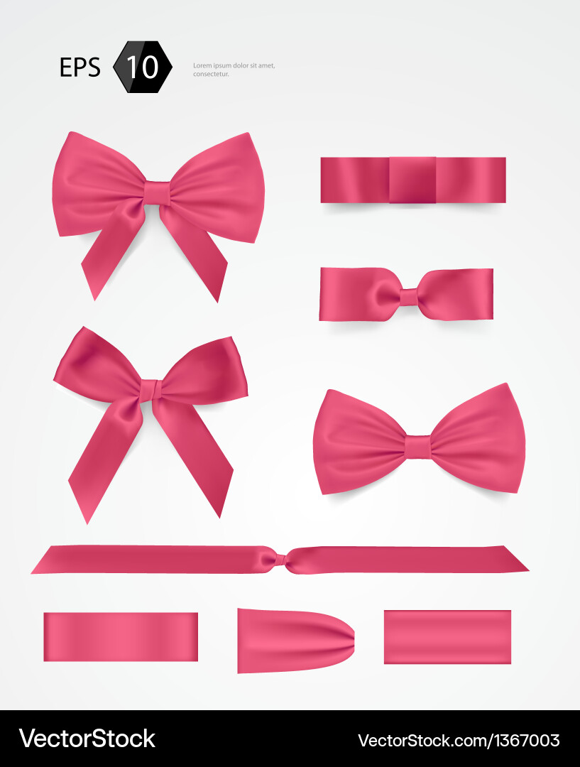 Bow collection Royalty Free Vector Image - VectorStock