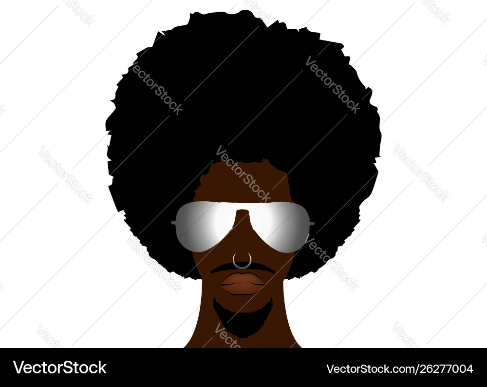 Retro man in 1970s hairstyle frizzy afro vector image