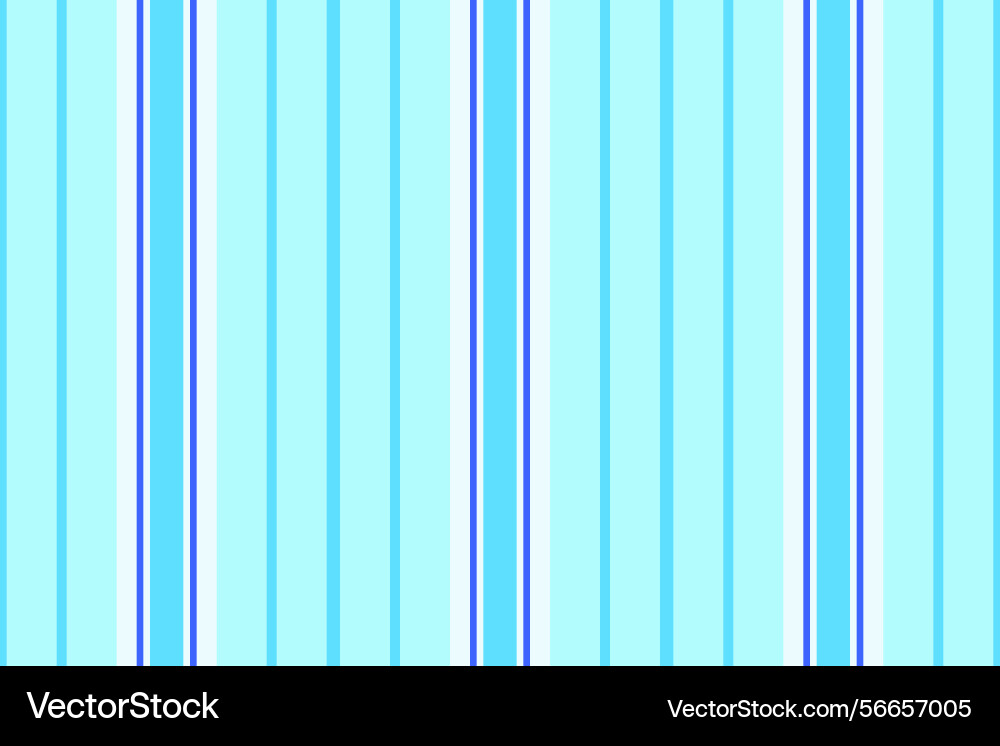 Iayout pattern stripe texture skill textile vector image