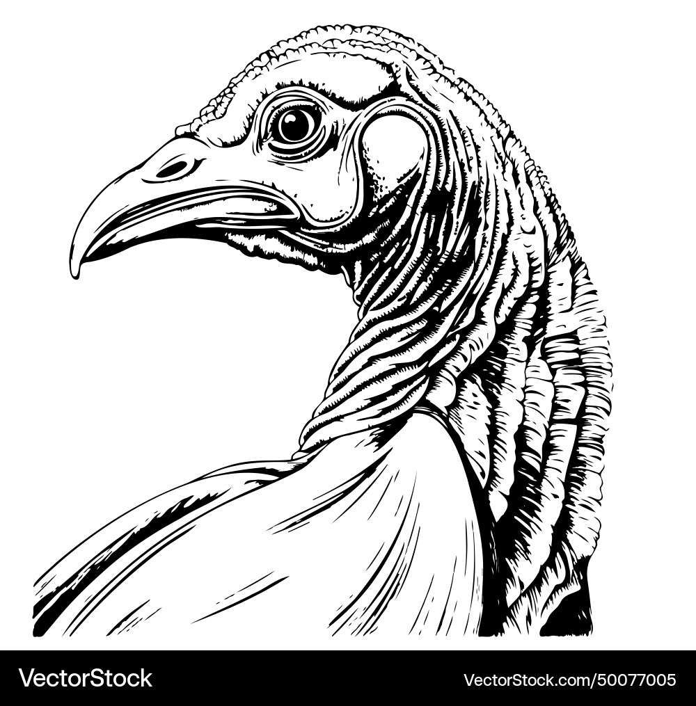 Mit Truthahnkopf grafisch gezeichneter Vogel Mit Truthahnkopf grafisch gezeichneter Vogel vektorbild