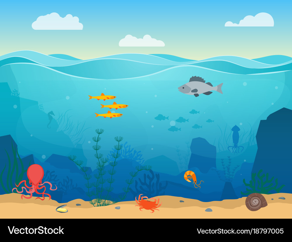 Underwater Cartoon Sea Scene Vector Image
