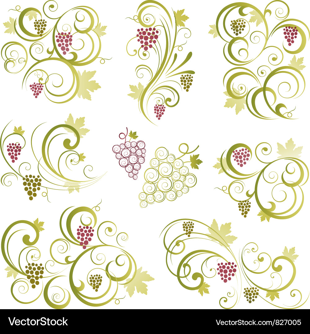 Vine Branch Patterns vector image