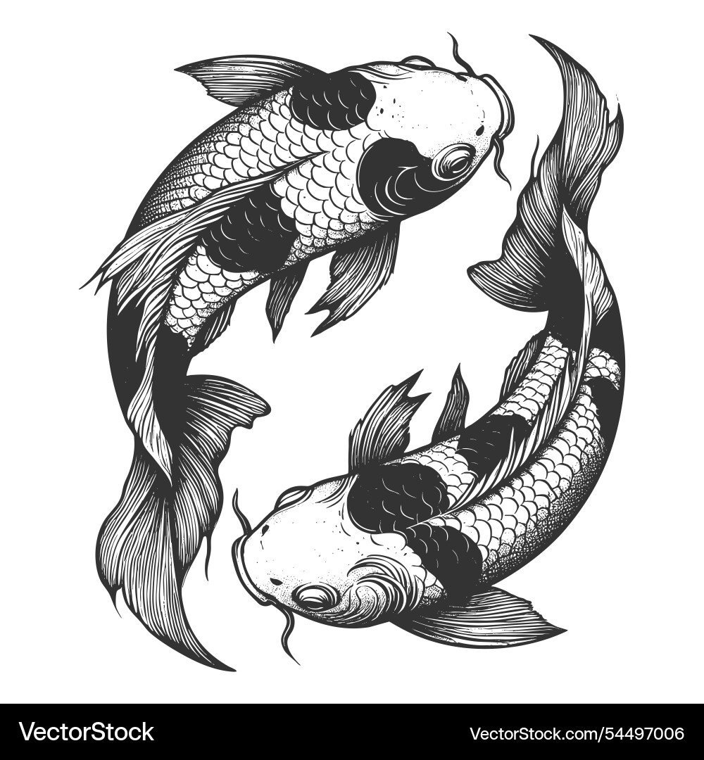 Koi tattoo black and Vector Images \u0026 Graphics for Commercial Use |  VectorStock, image size:1000x1080
