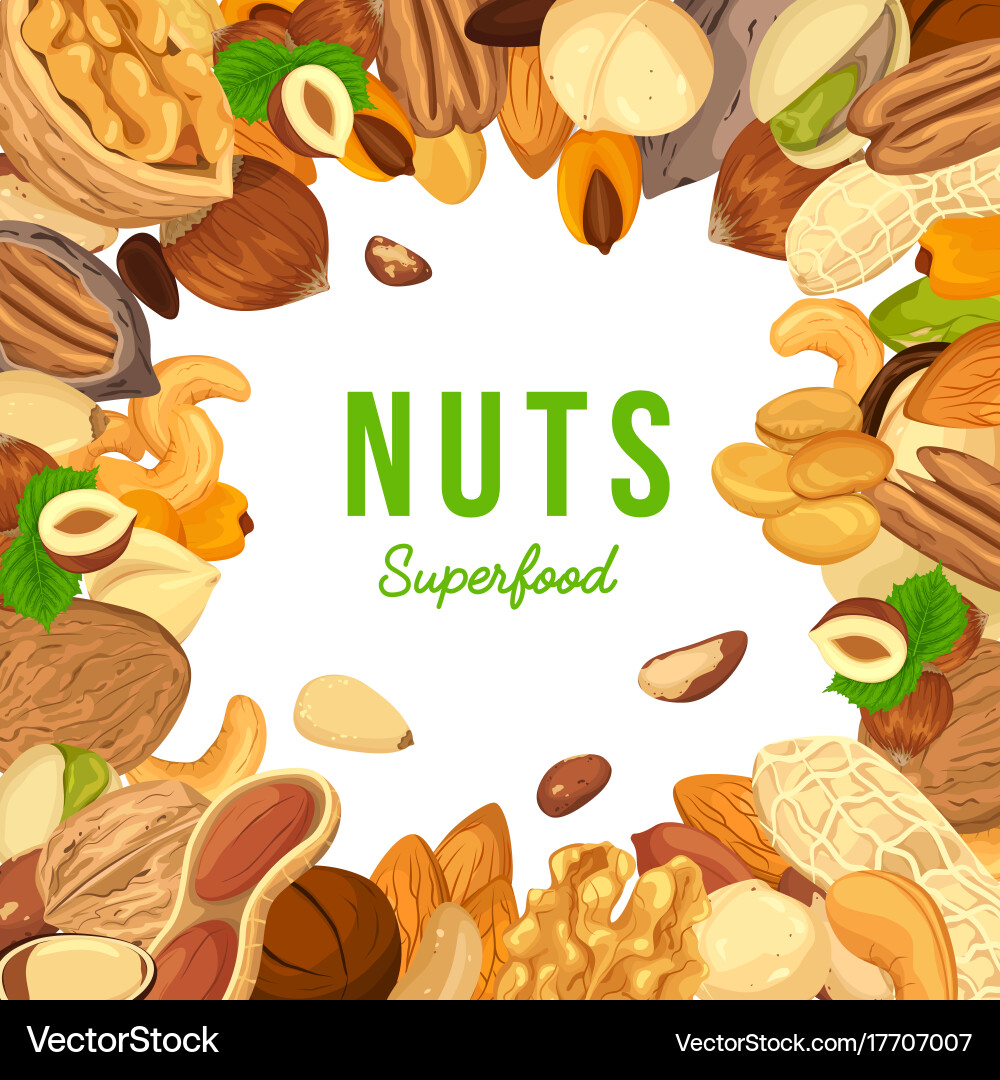 Nut pile as banner with kernel and shell sign vector image