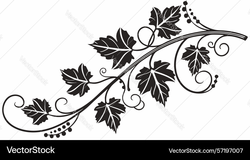Rustic grapevine cluster corner design vector image