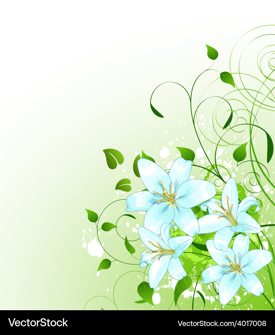 Spring Lily Background Vector Image