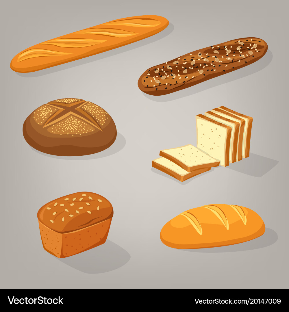 Baguette and bricks of toast or butterbrot bread Vector Image