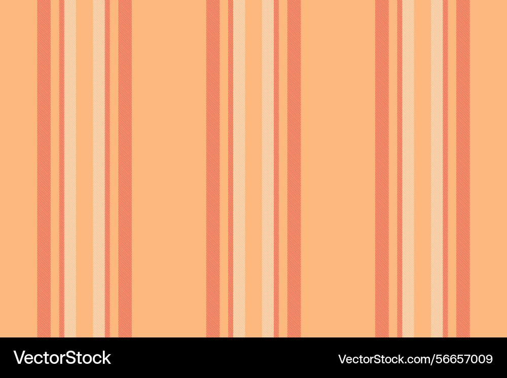 Mother seamless pattern lines complexity fabric Vector Image