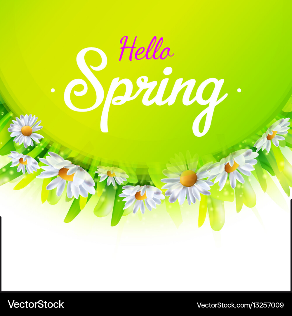 Spring Floral Background Vector Image