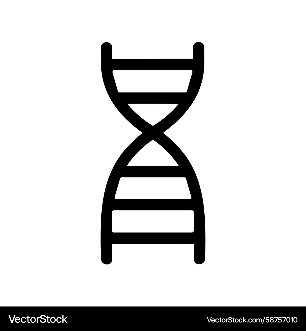 DNA Double Helix Line Art Vector Image