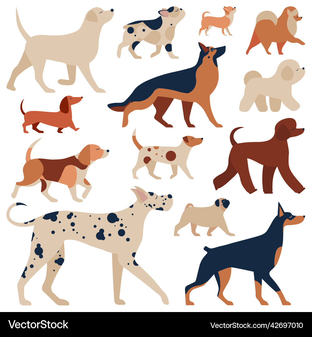 Most popular dog breeds set in cartoon Most popular dog breeds set in cartoon vector image
