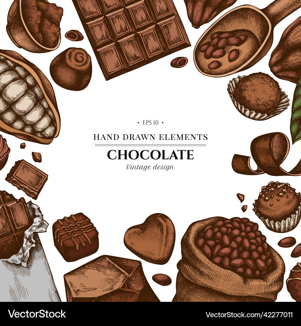 Cocoa Bean Flat Lay - Chocolate Elements vector image