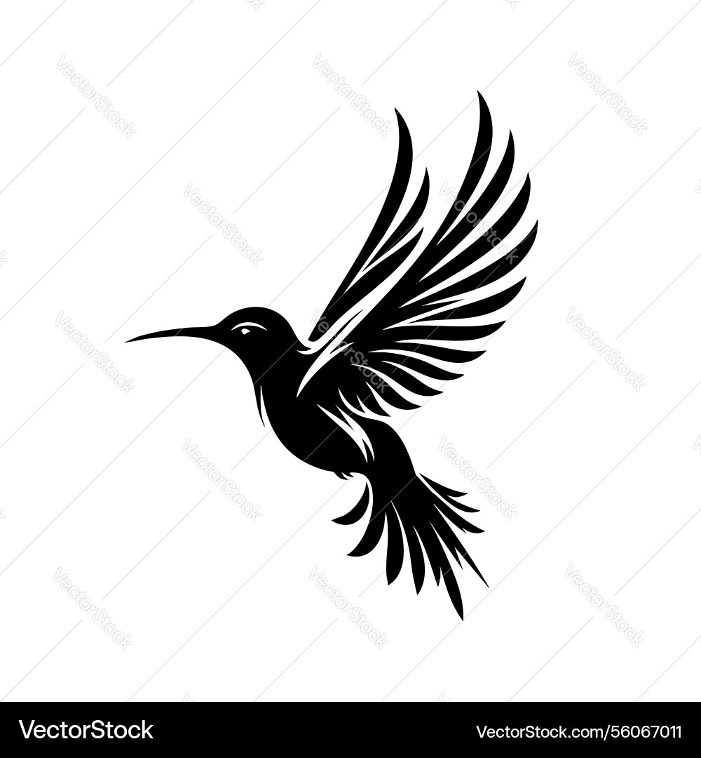 Hummingbird in flight elegant black and white Hummingbird in flight elegant black and white vector image
