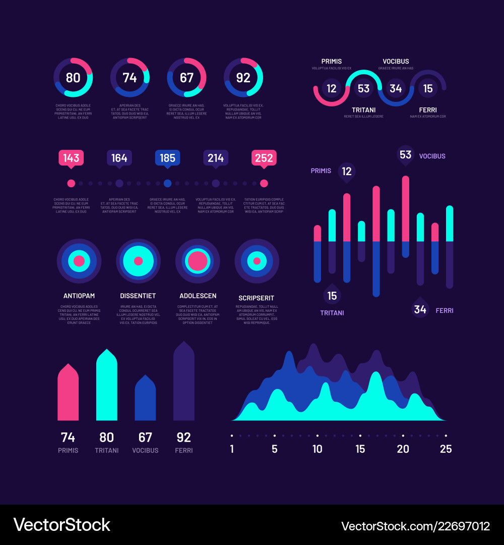 Bar Graph & Data Charts vector image