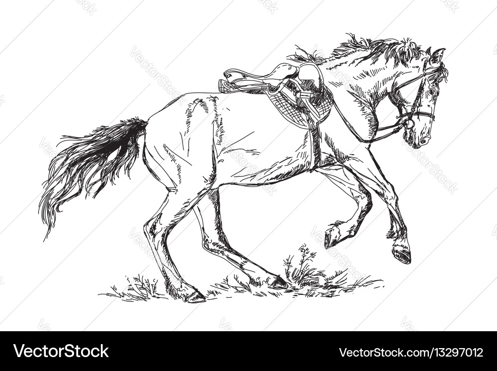 Galloping Mustang Vector Image