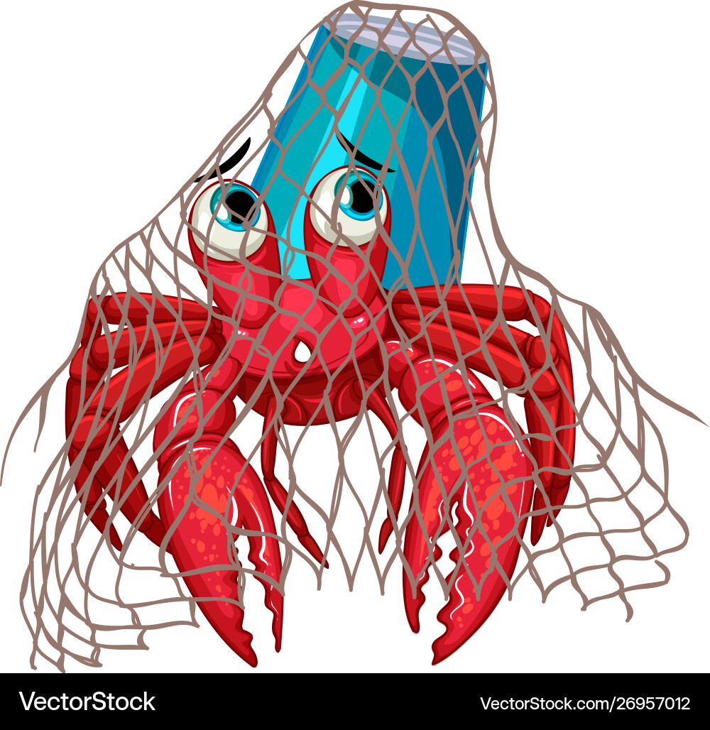 Hermit crab in net on white background Hermit crab in net on white background vector image