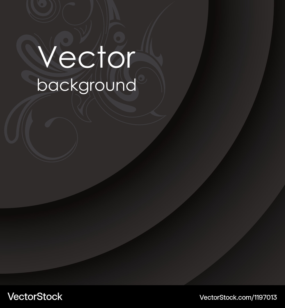 Elegant Circular Pattern vector image