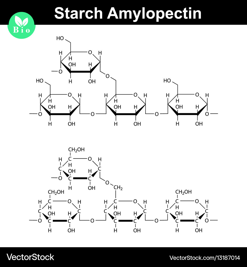 Amylose Molecule. It Is A Polysaccharide And One Of The Two Components Of  Starch. Structural Chemical Formula On The Dark Blue Background. Vector  Illustration Royalty Free SVG, Cliparts, Vectors, and Stock Illustration., image size:1000x1080