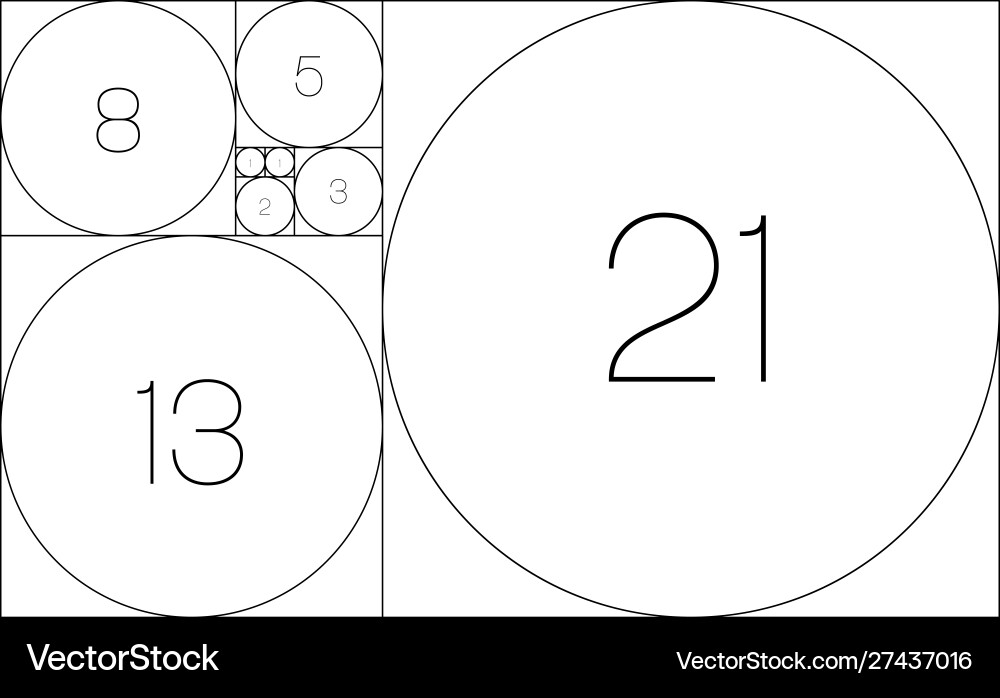 Fibonacci sequence circles golden ratio vector image