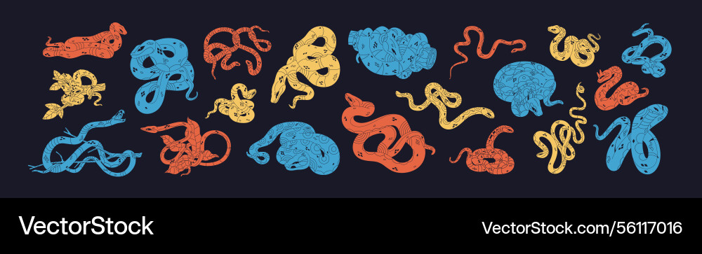 Set of abstract colourful snakes different Vector Image