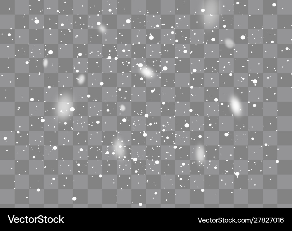 Snowfall snowflakes in different shapes and forms Snowfall snowflakes in different shapes and forms vector image