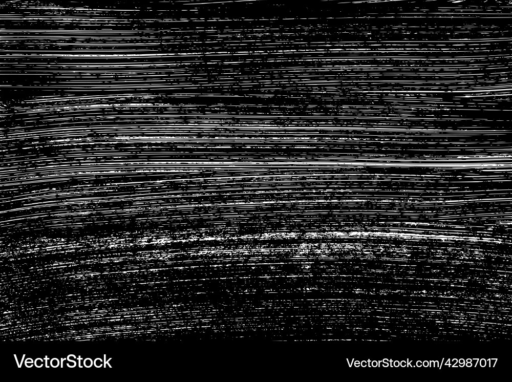 Black Paint Strokes on White vector image