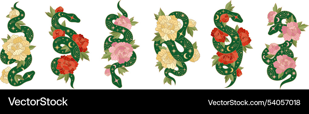 Set of chinese new year symbols green snakes Set of chinese new year symbols green snakes vector image