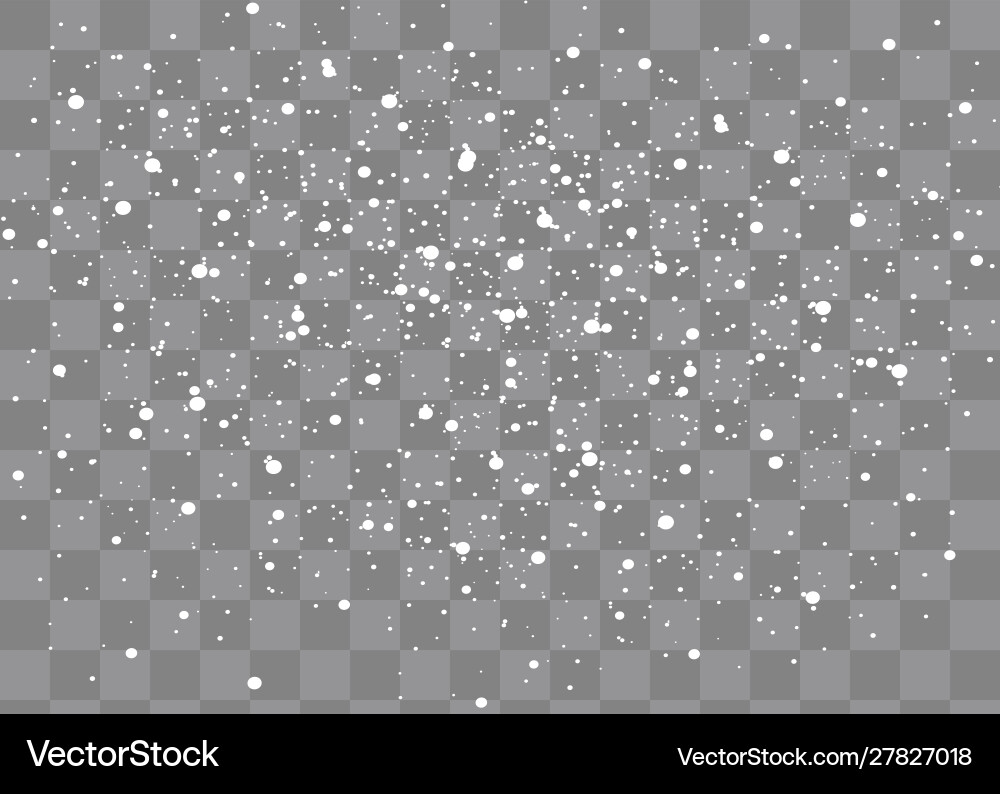 Snowfall snowflakes in different shapes and forms Snowfall snowflakes in different shapes and forms vector image