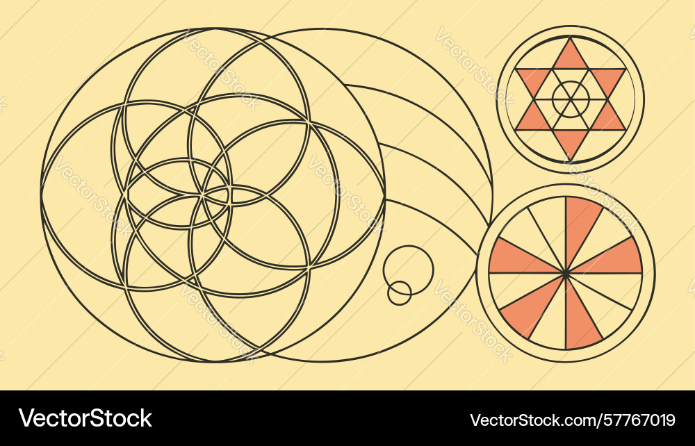 Intricate radial geometric pattern structured vector image