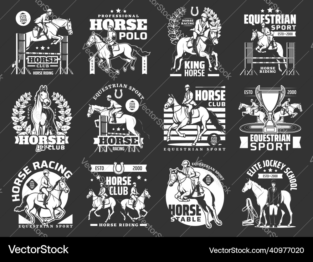 Equestrian Sport: Horses & Polo Vector Image