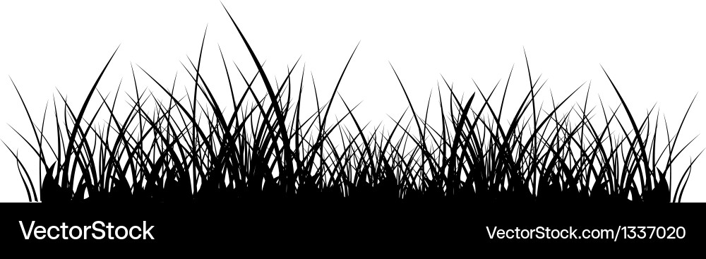 Grass Silhouette on White Vector Image
