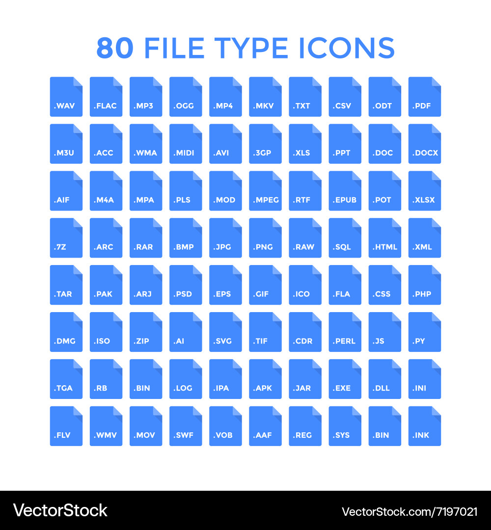 File type icons Vector Image
