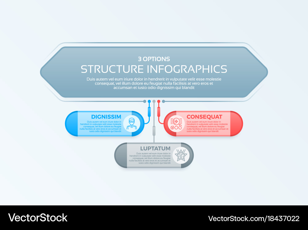 Infographics template with 3 structure elements Vector Image