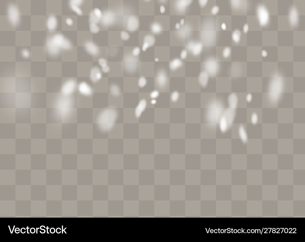 Snowfall snowflakes in different shapes and forms Snowfall snowflakes in different shapes and forms vector image
