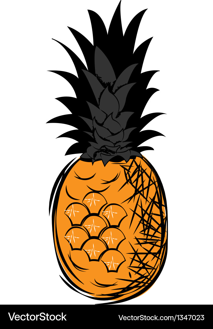 Pineapple Royalty Free Vector Image - VectorStock