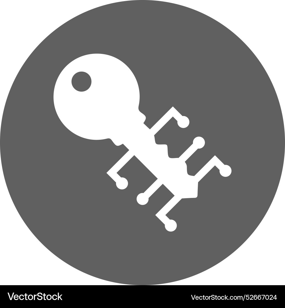 Encryption key personal data icon vector image
