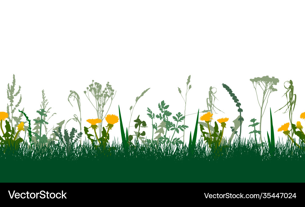 Spring Dandelion Meadow Pattern Vector Image