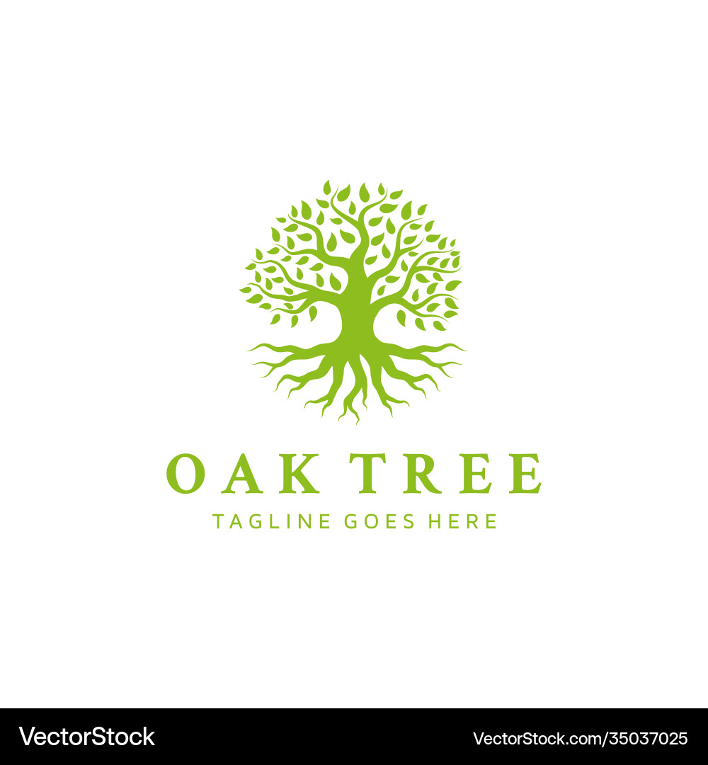 Oak Tree of Life Logo vector image