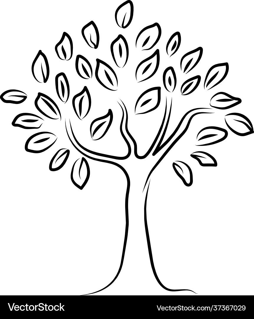 Black Line Tree Drawing vector image
