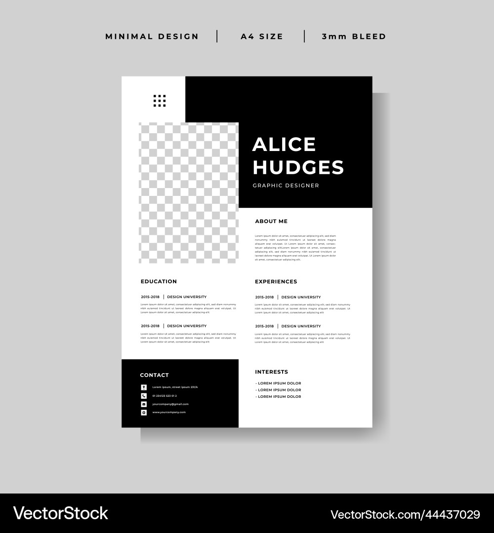 Clean Curriculum Vitae Template vector image
