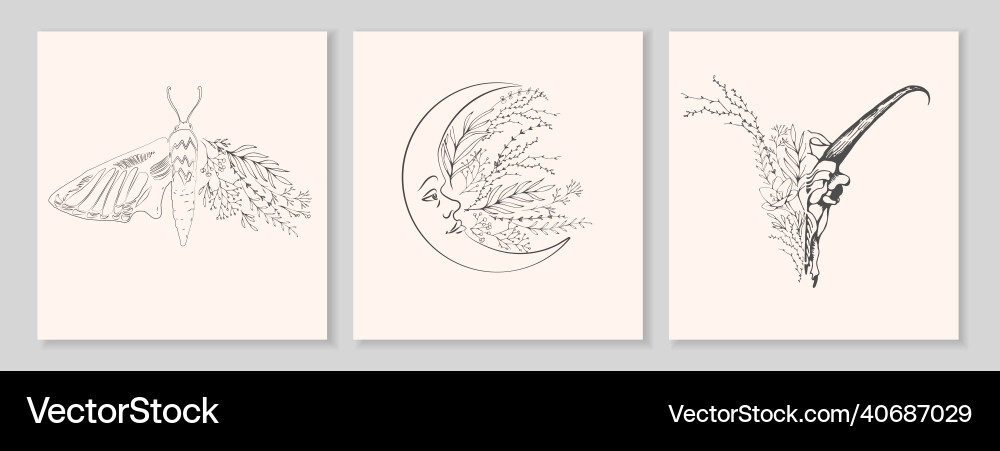 Half shape butterfly skull and moon with branch Vector Image