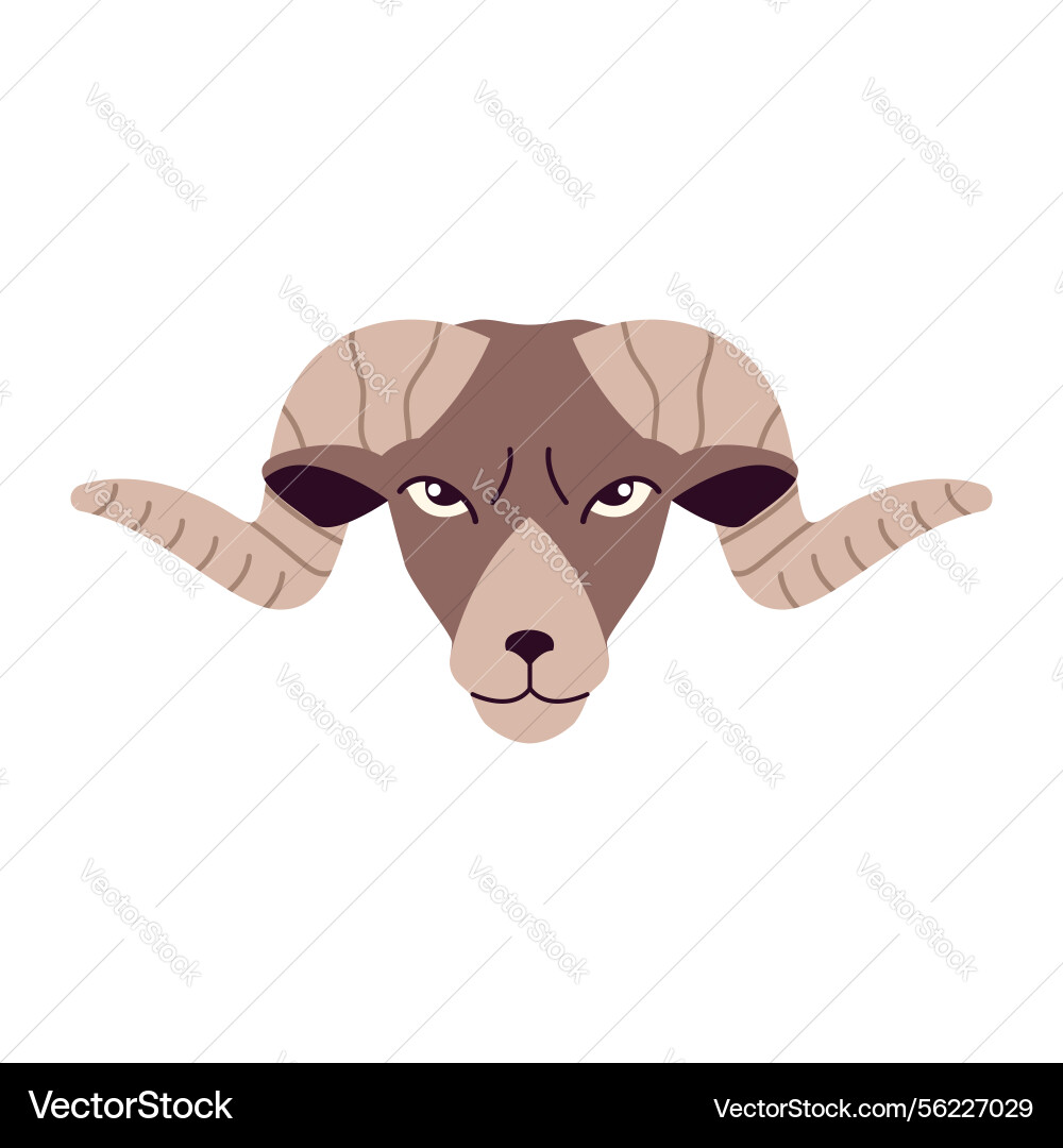Head of ram in flat style Vector Image