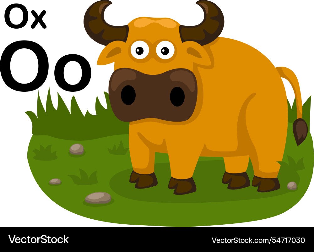 Alphabet Buchstaben o-ox mit Cartoon Vokabular Alphabet Buchstaben o-ox mit Cartoon Vokabular vektorbild