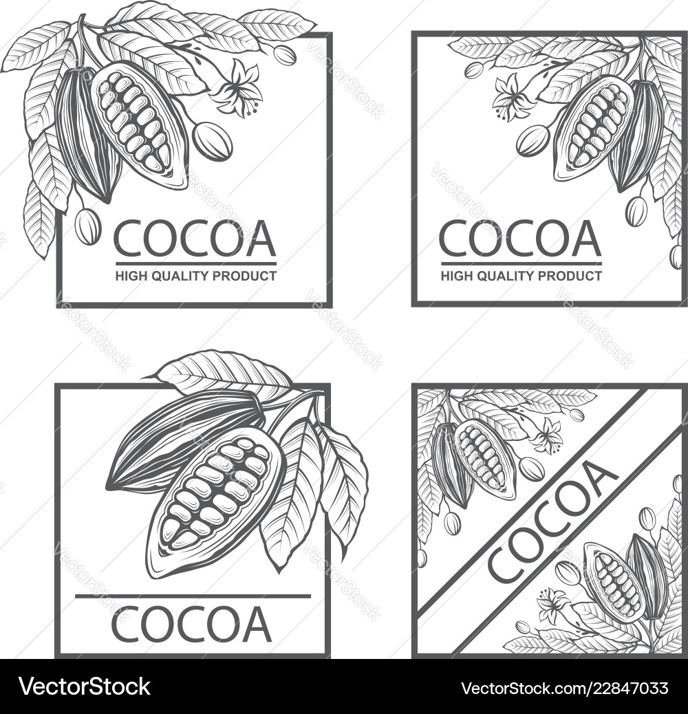 Cocoa Frames & Elements vector image