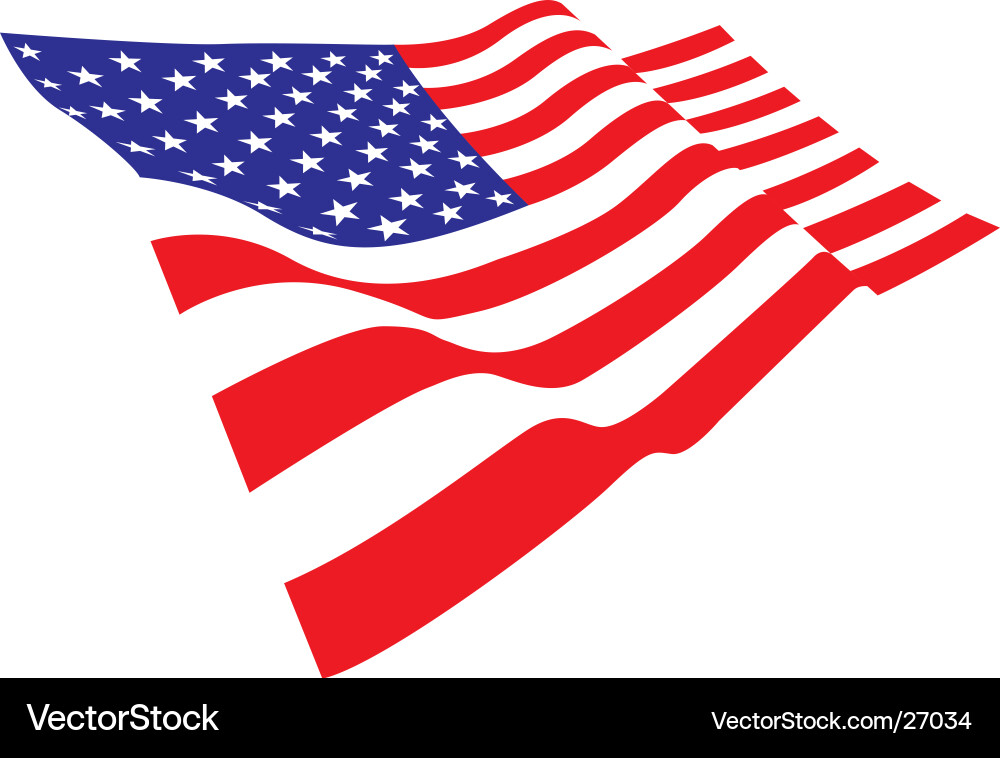 United States Flag vector image