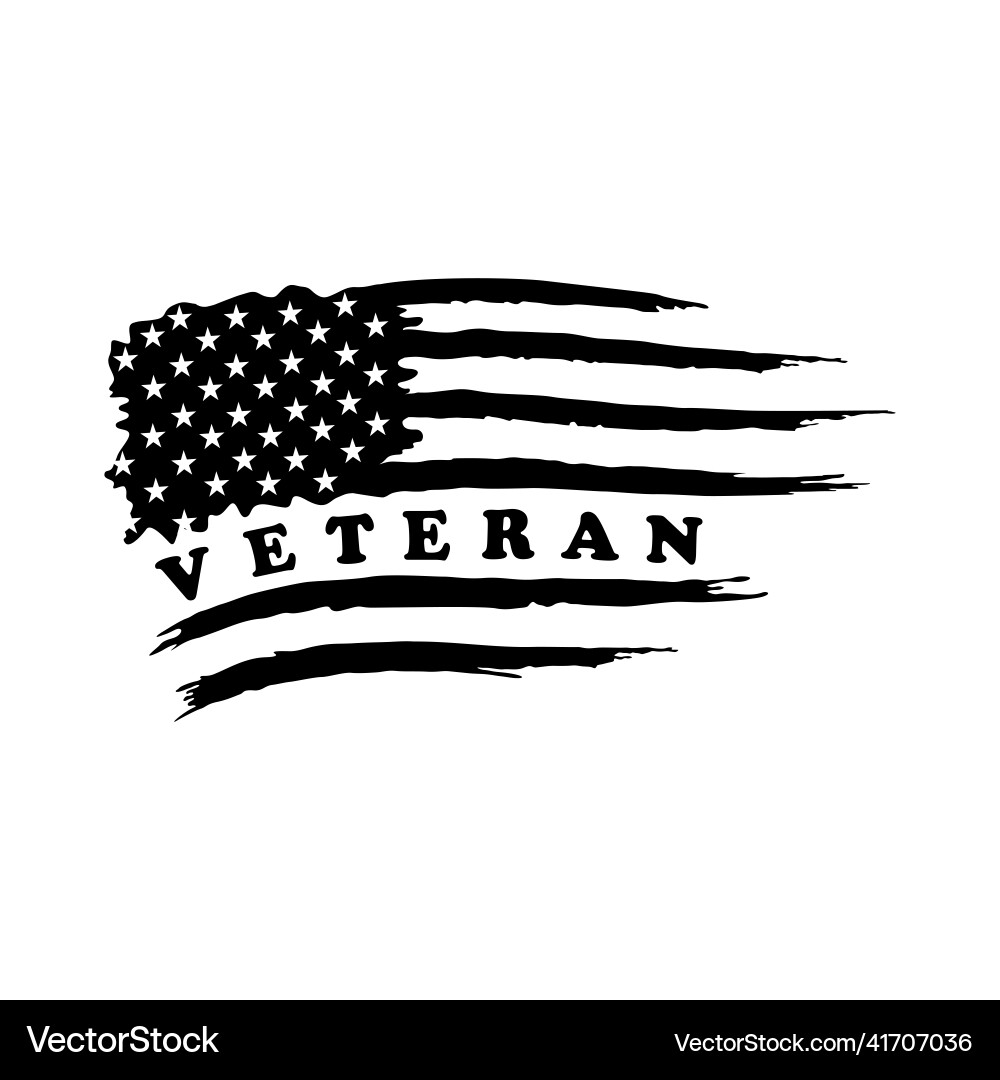 Veteran’s American Flag Vector Image