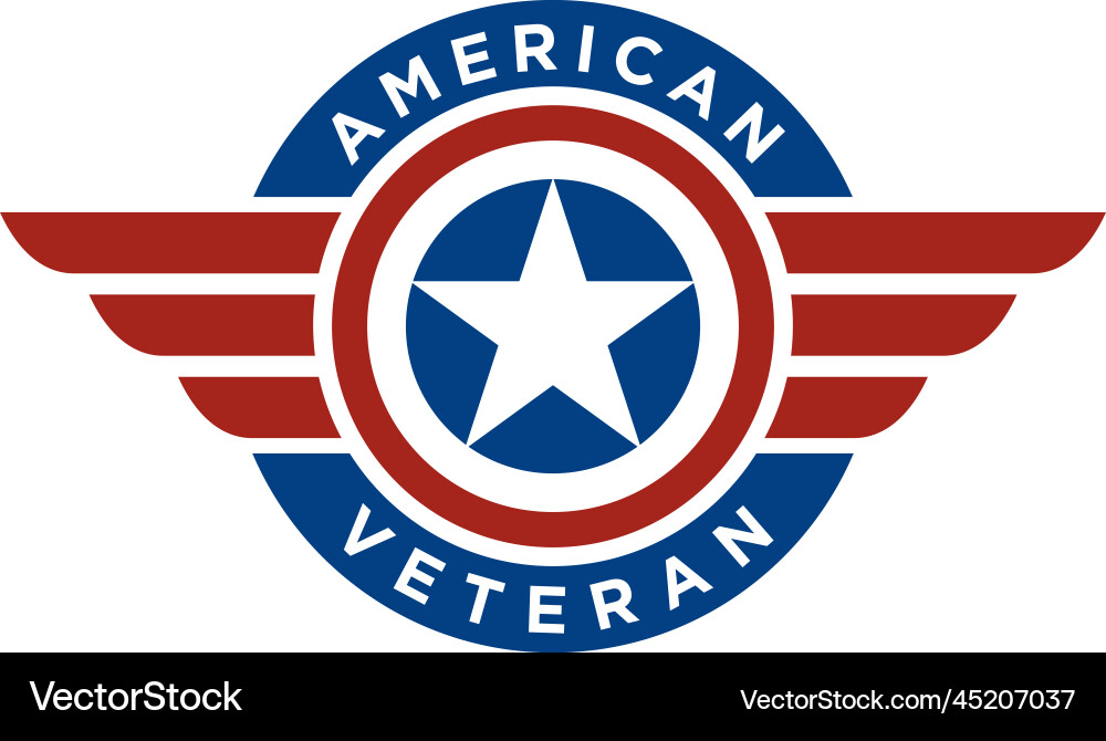 American Flag Wings Military Logo Vector Image
