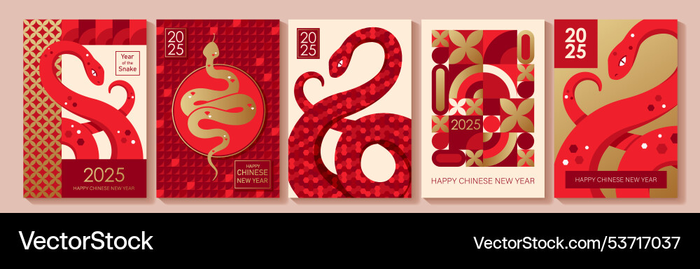 Chinese new year design cards 2025 Chinese new year design cards 2025 vector image