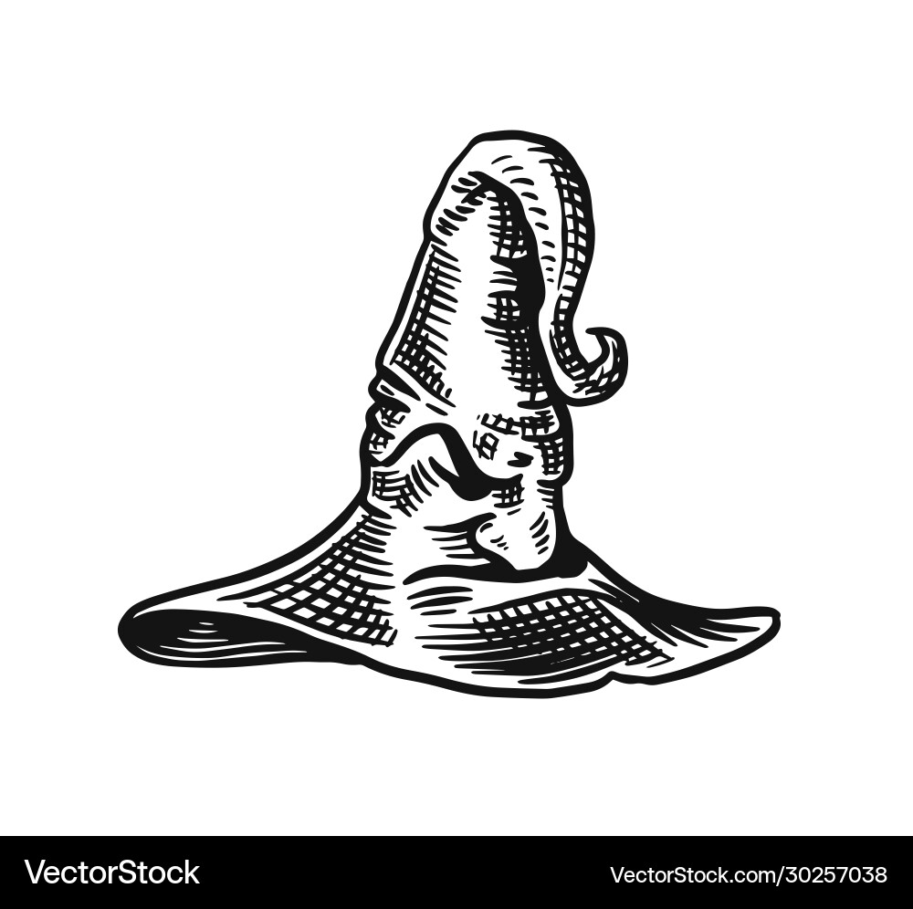 Halloween witch magic hat mythical clothes hand Vector Image